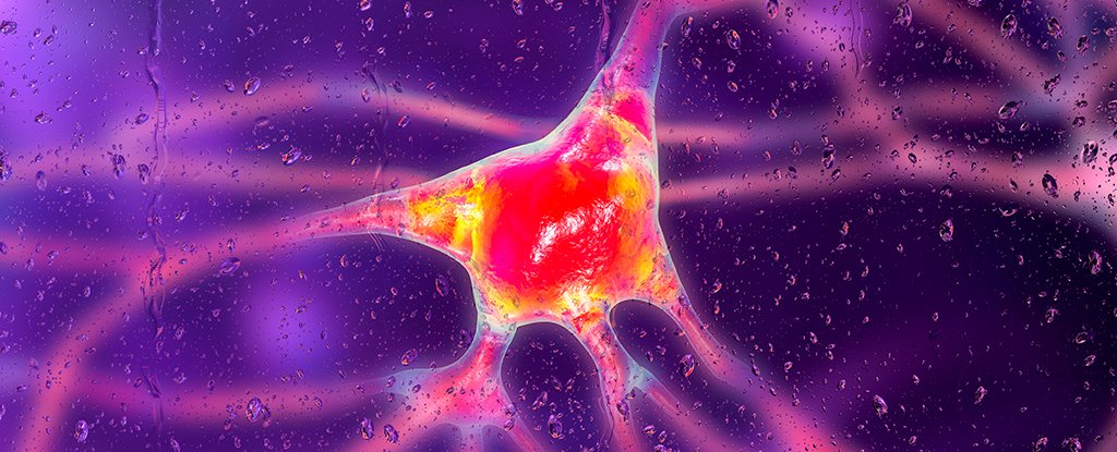 Alzheimer’s Is More Common in Women, And This May Help Explain Why : ScienceAlert