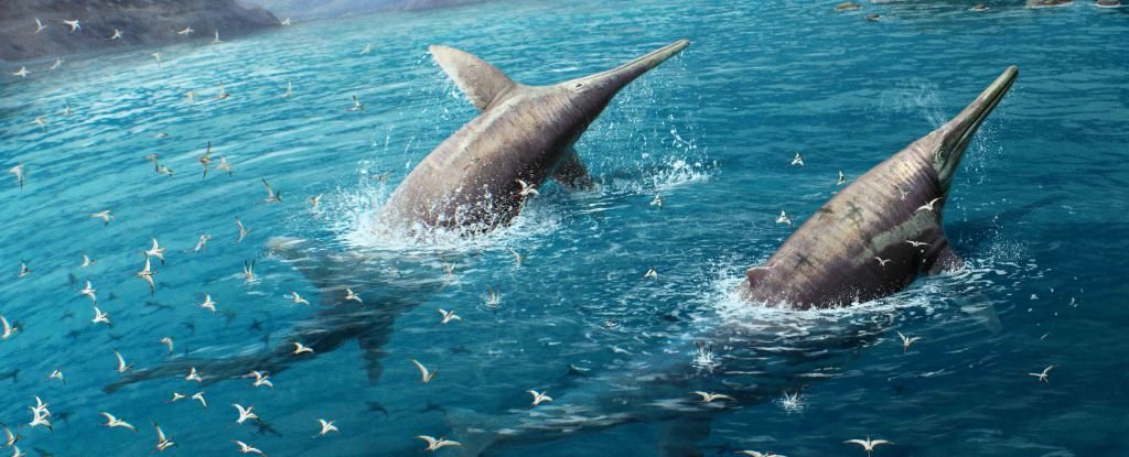 Ancient Bones Hint at The Most Colossal Marine Reptile The World Has Ever Seen ScienceAlert