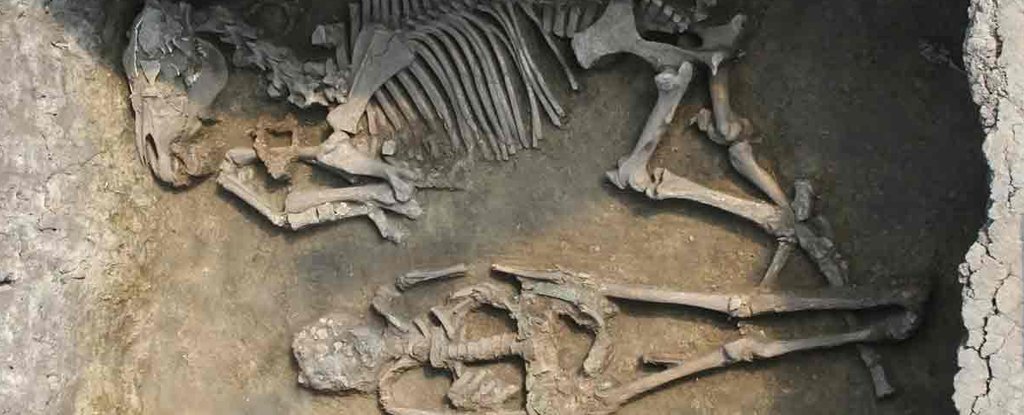 Ancient DNA Unveils Family Secrets of a Lost Nomadic Culture in Europe : ScienceAlert