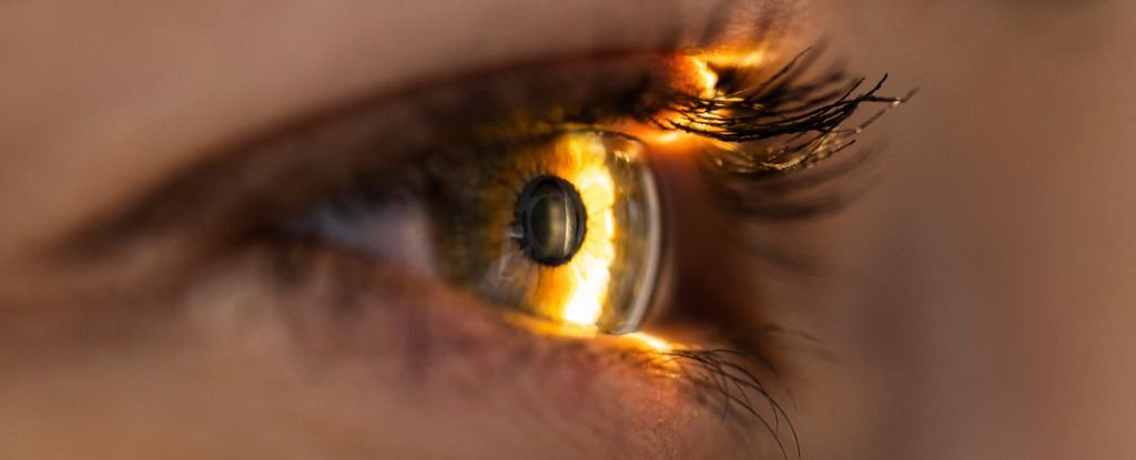 Blinking Actually Boosts Your Vision, And We Never Even Noticed : ScienceAlert