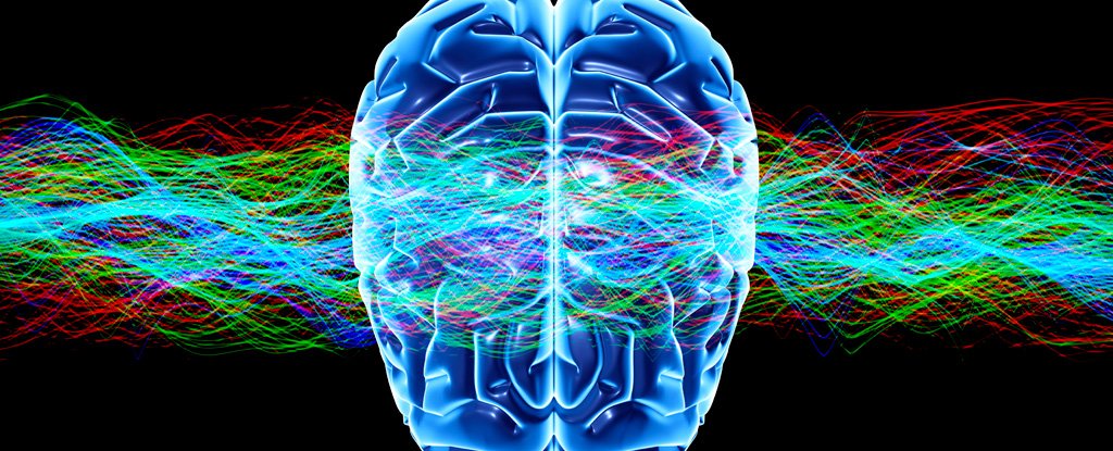 Brain Acidity Linked With Multiple Neurological Disorders ScienceAlert
