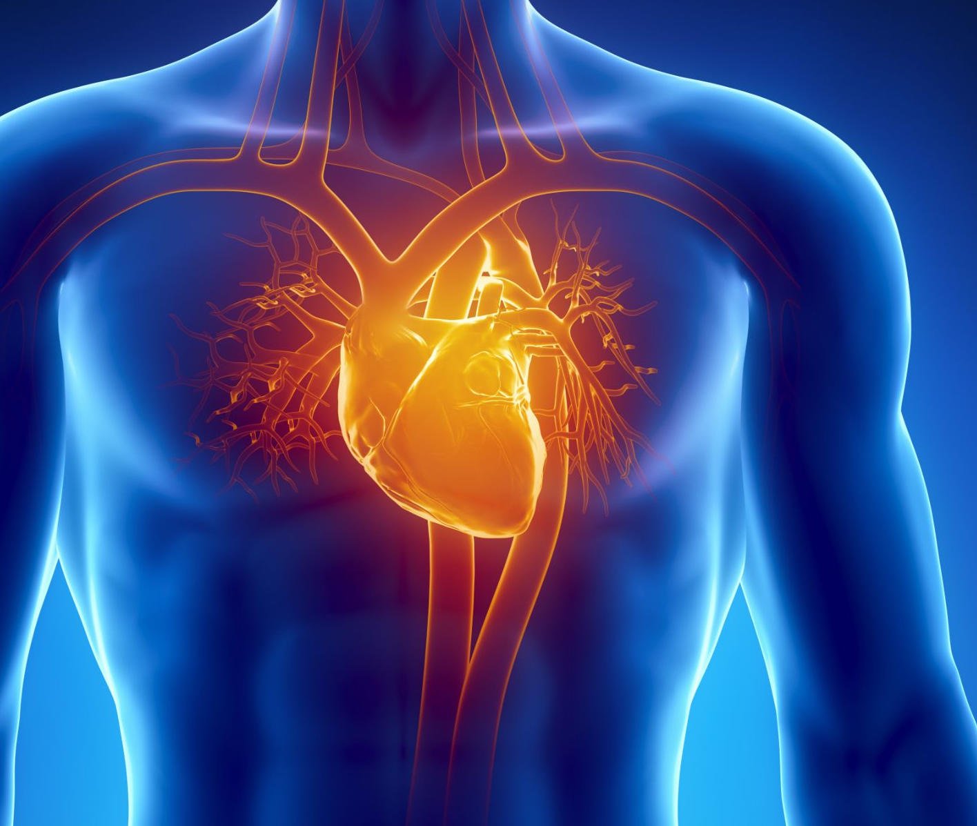 Can $14 a Week Improve Your Heart Health? Surprising Study Results