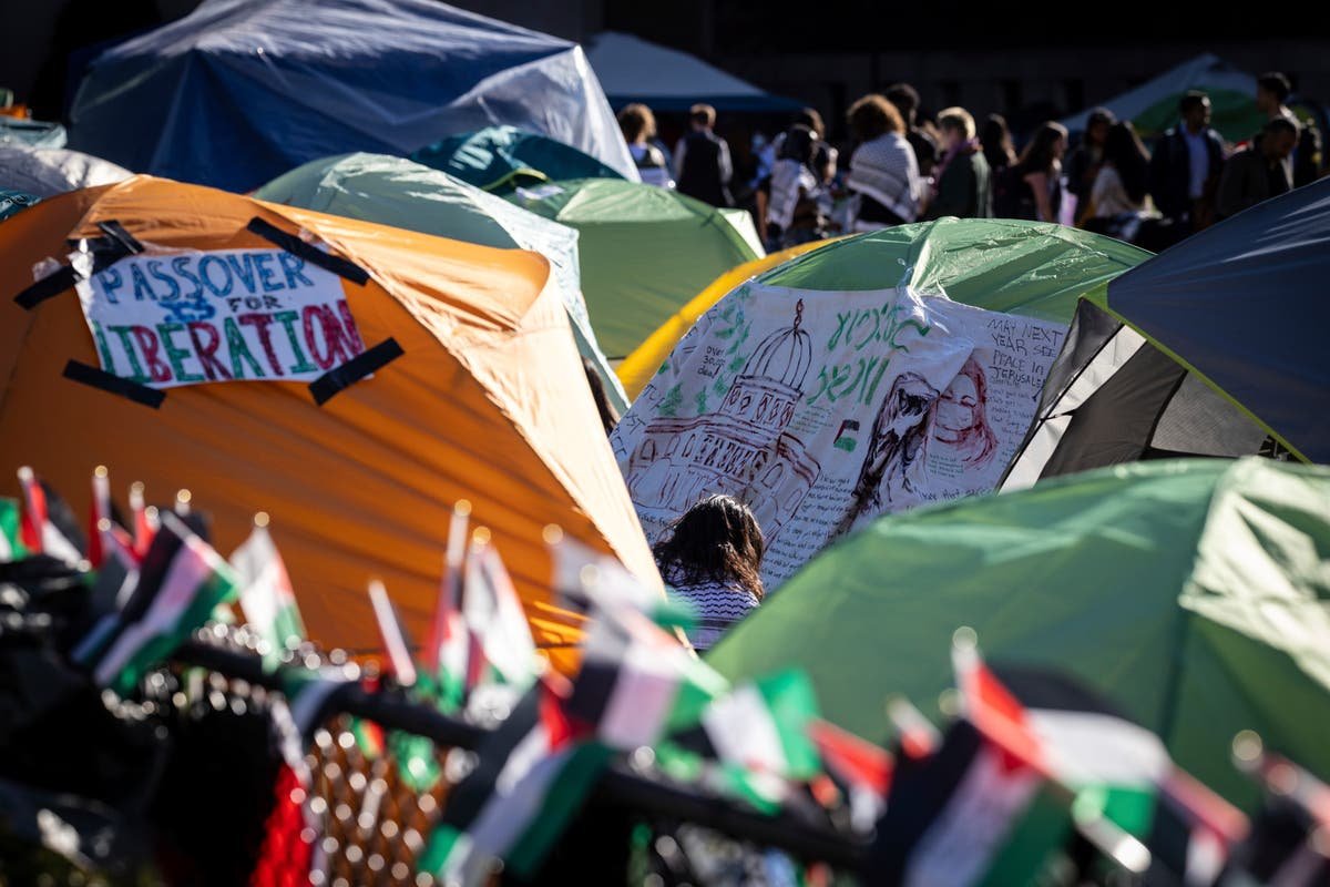Columbias senate calls for investigation into university president over reaction to Gaza protests