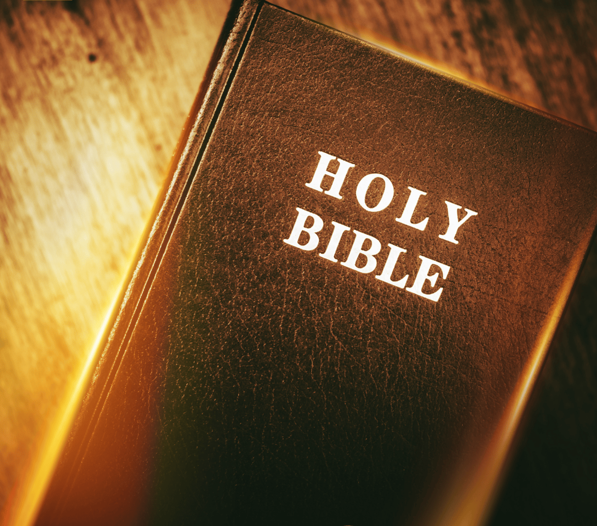 Daily Bible Reading – April 21, 2024