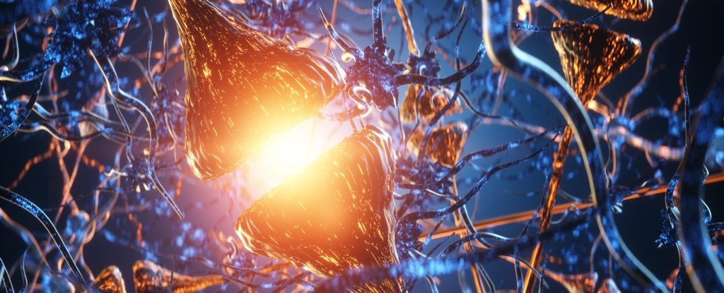 Drug Shows Signs of Slowing Parkinsons Disease ScienceAlert
