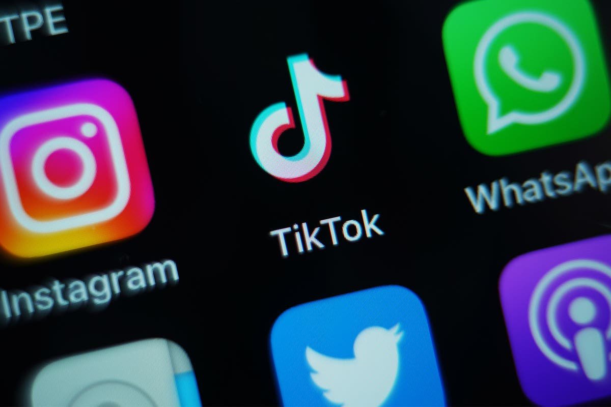 Government needs TikTok strategy to combat misinformation say MPs