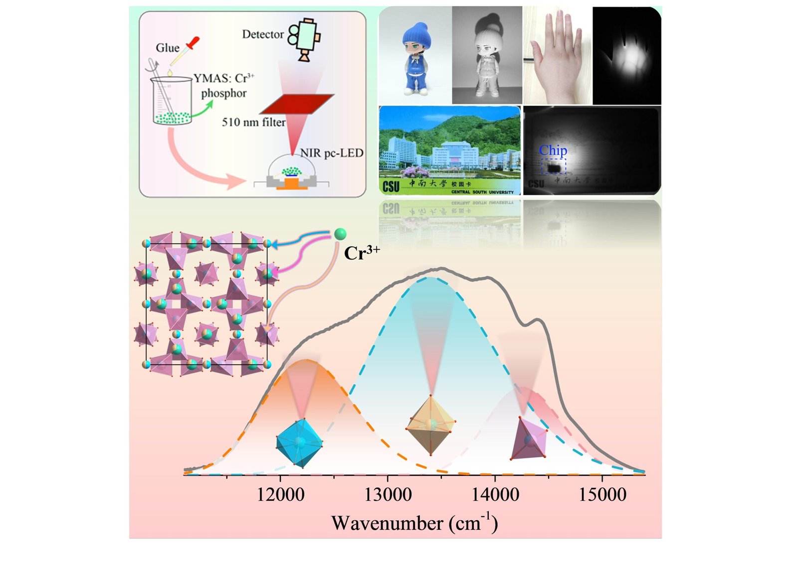 Highly efficient and stable near-infrared phosphor for night vision and bio-imaging