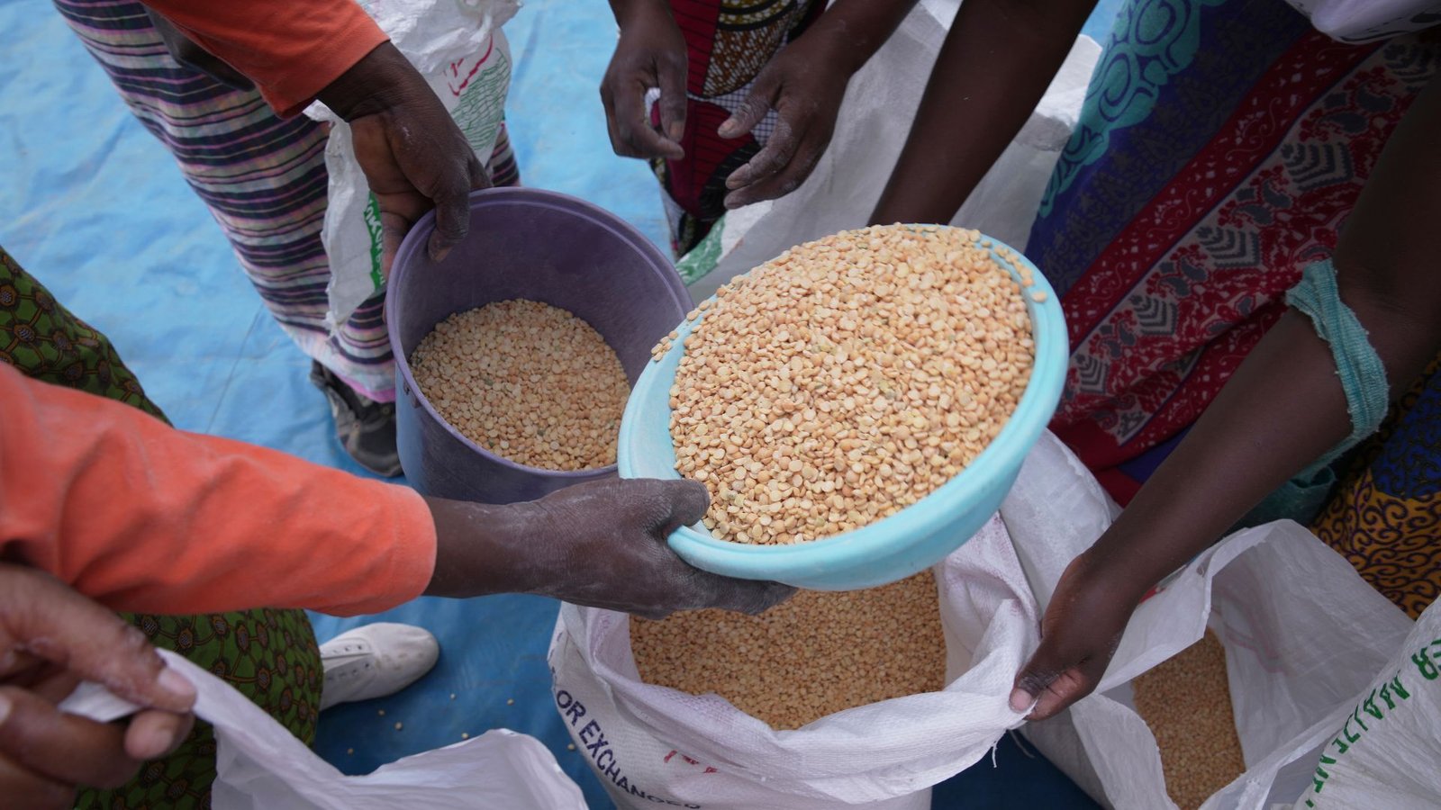 How can we reduce global food insecurity | Hunger