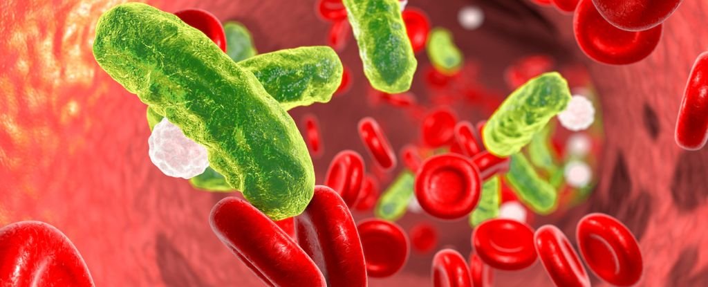 Just 1 Dose of New Antibiotic Class Eliminates Resistant Blood Infections in Mice ScienceAlert