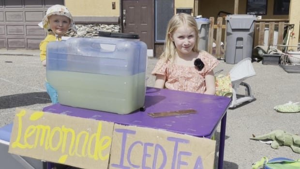 Kamloops BC girl raises $1500 selling lemonade to pay for brothers autism assessment