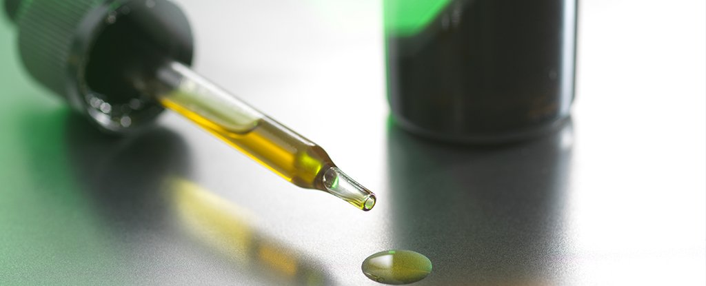 Large Review Finds CBD Products Dont Relieve Chronic Pain After All ScienceAlert
