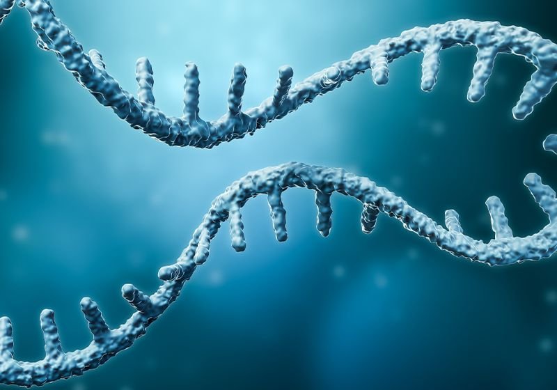 MEGA CRISPR: Engineering Better Immunotherapies With RNA Editing