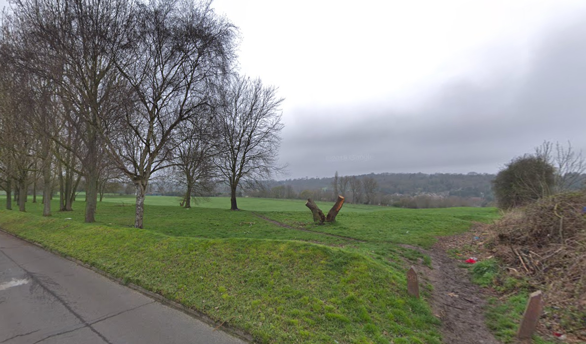 Murder investigation launched as human remains found in park in south London