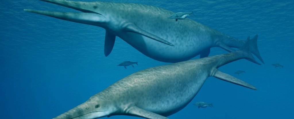 Mysterious Fossil Fragments Traced to Ancient Leviathans of The Ocean ScienceAlert