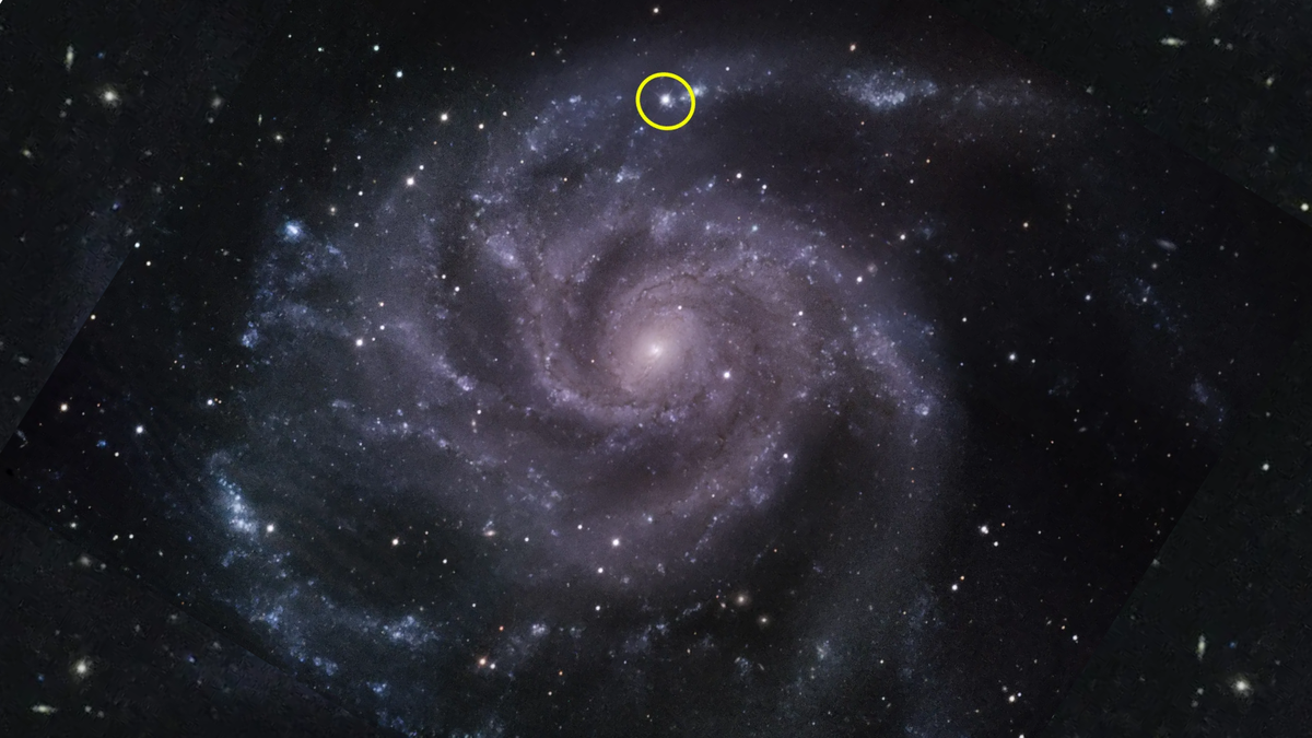 A deep purple spiral galaxy is seen head on and a small bright dot toward the top of this spiral has been highlighted and circled in yellow