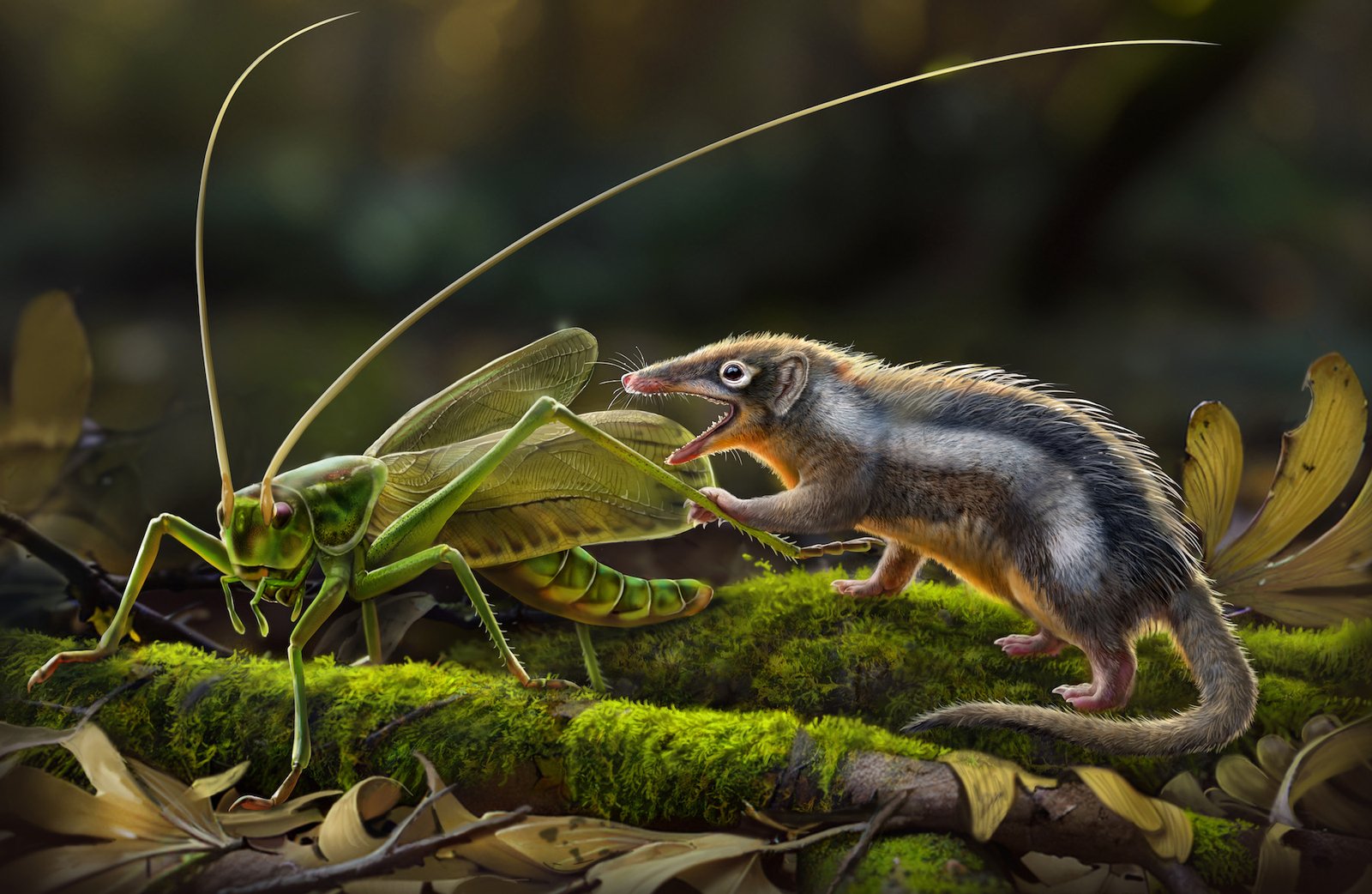 New Fossils Redefine Mammalian Ancestry