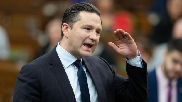 Poilievre blasts budget, won’t commit to keeping new social programs like pharmacare