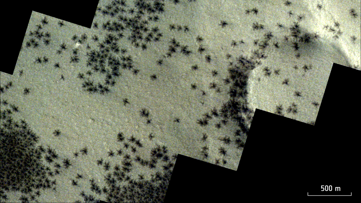 A satellite photo shows lots of small black spider like features on Mars