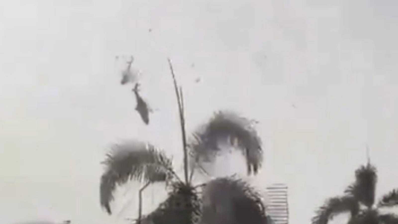 Shocking moment military helicopters crash mid-air sending them hurtling to ground & killing all 10 onboard in Malaysia