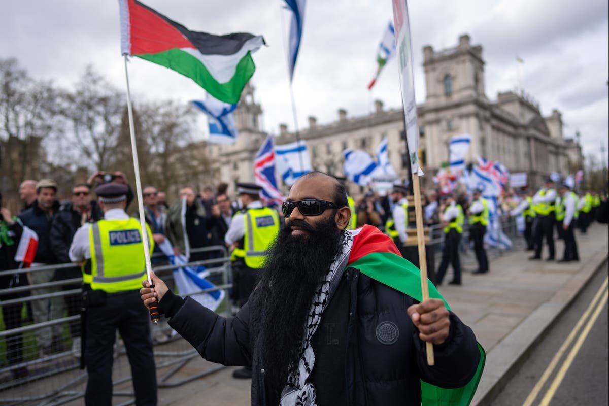Ten arrests as opposing Israel Palestine protests held in central London
