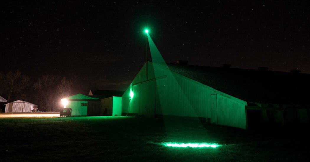 The Fight to Fend Off Bird Flu With Lasers and Inflatable Dancers