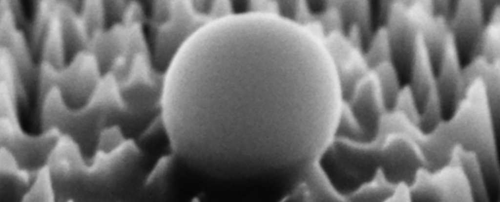 This Prickly New Material Literally Pops Viruses, With Up to 96% Success : ScienceAlert