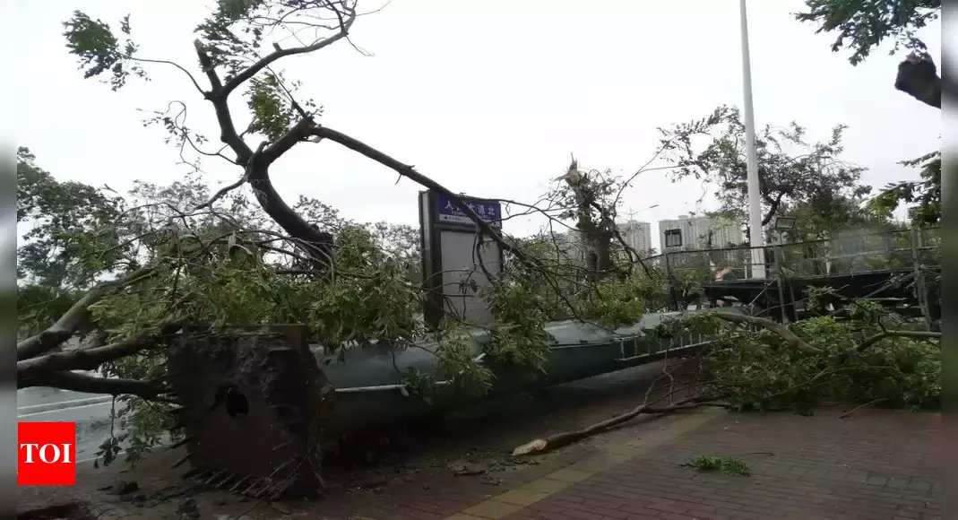 Three ‘sucked out’ of apartments as typhoon-like winds ravage southern China