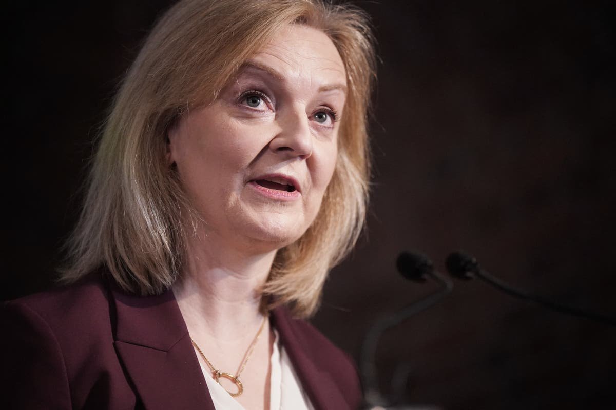 Tory right plotting Liz Truss style leader to replace Sunak post election