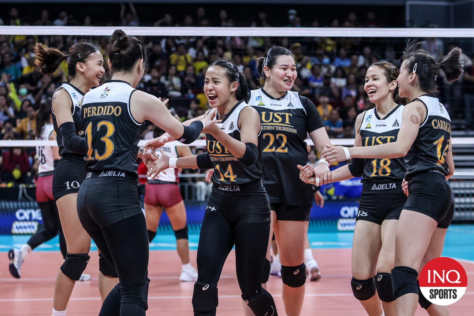 UAAP volleyball: UST Tigresses dedicate win to absent star Poyos