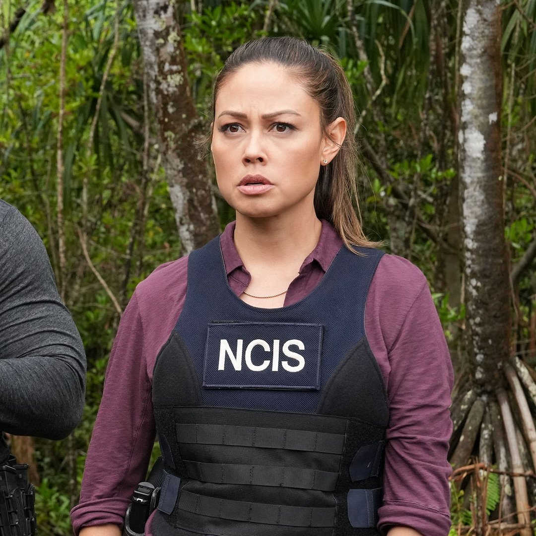 Vanessa Lachey Feels Blindsided by NCIS Hawaii Cancellation