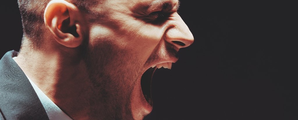 Venting Doesnt Reduce Anger But Something Else Does Study Finds ScienceAlert