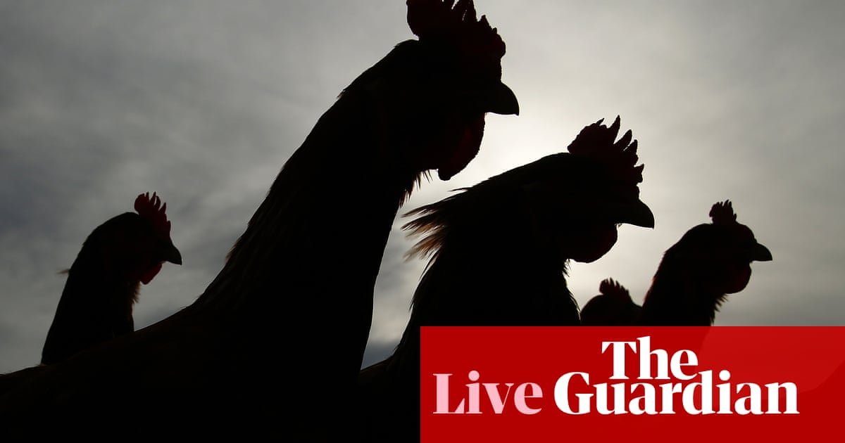 Australia news live: bird flu detected at Victorian egg farm; Birmingham accuses PM of ‘wilful inconsistency’ on ICC | Australia news