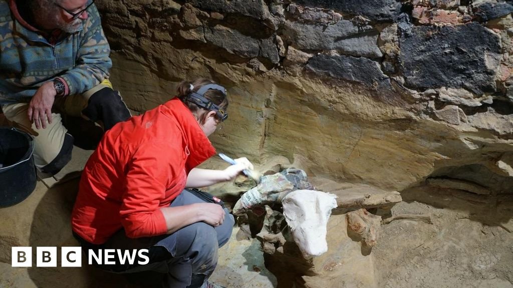 Austrian winemaker finds mammoth bones in wine cellar