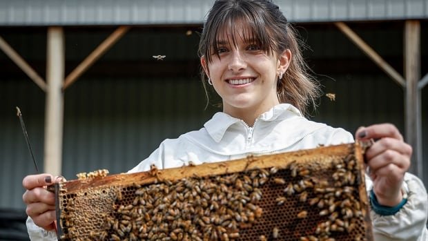 Bees keep Canadian ski jumper Abigail Strate busy in summer