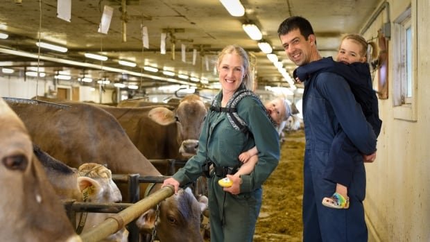 Canadian dairy farmers urged to think about bird flu protections as US identifies 2nd case