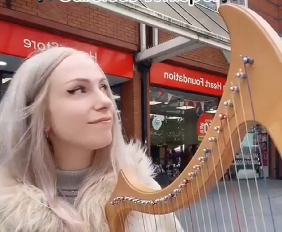 Extraordinary moment woman playing harp on high street is berated by-passer by who threatens to report her