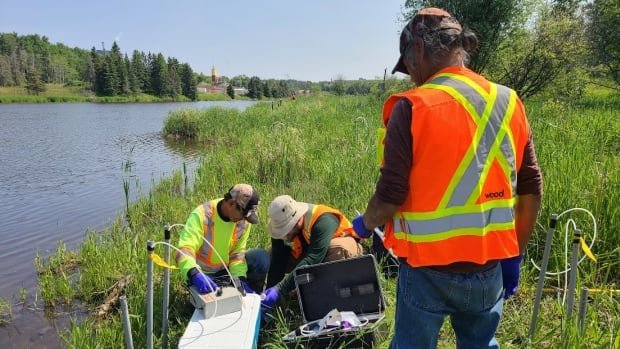 Mercury poisoning near Grassy Narrows First Nation worsened by ongoing industrial pollution study suggests
