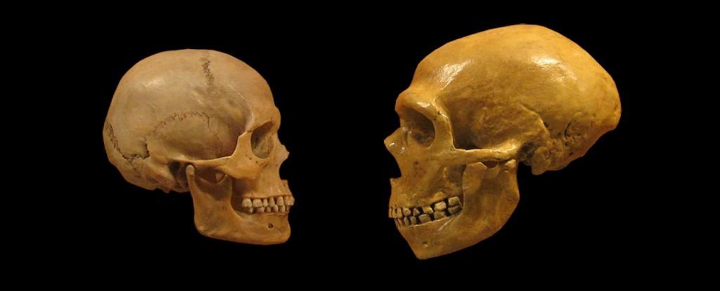 Metaphors Might Be The Secret That Set Us Apart From Neanderthals : ScienceAlert