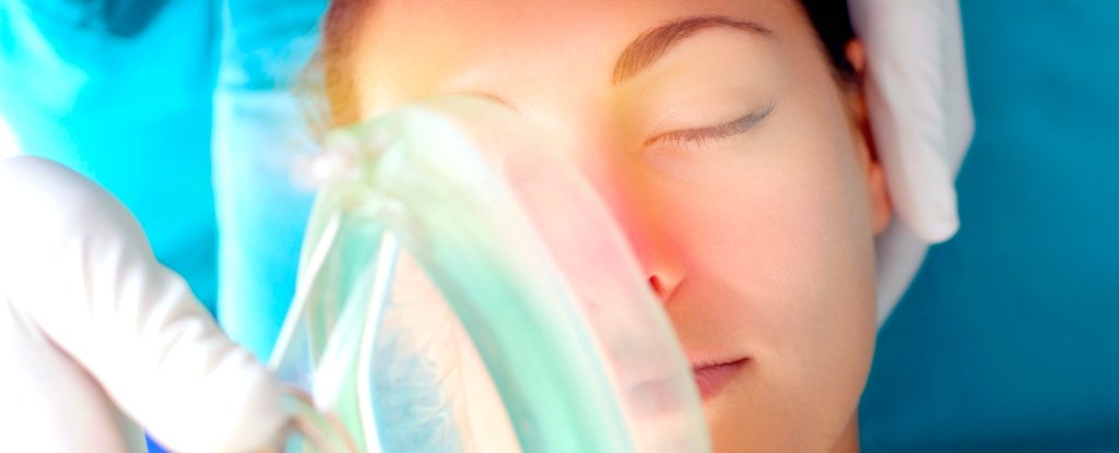 New Discovery Hints at What General Anesthesia Actually Does to The Brain : ScienceAlert