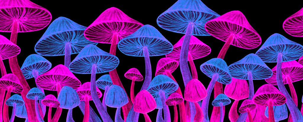Scientists Think This Psychedelic Drug Could Help Treat Anorexia ScienceAlert