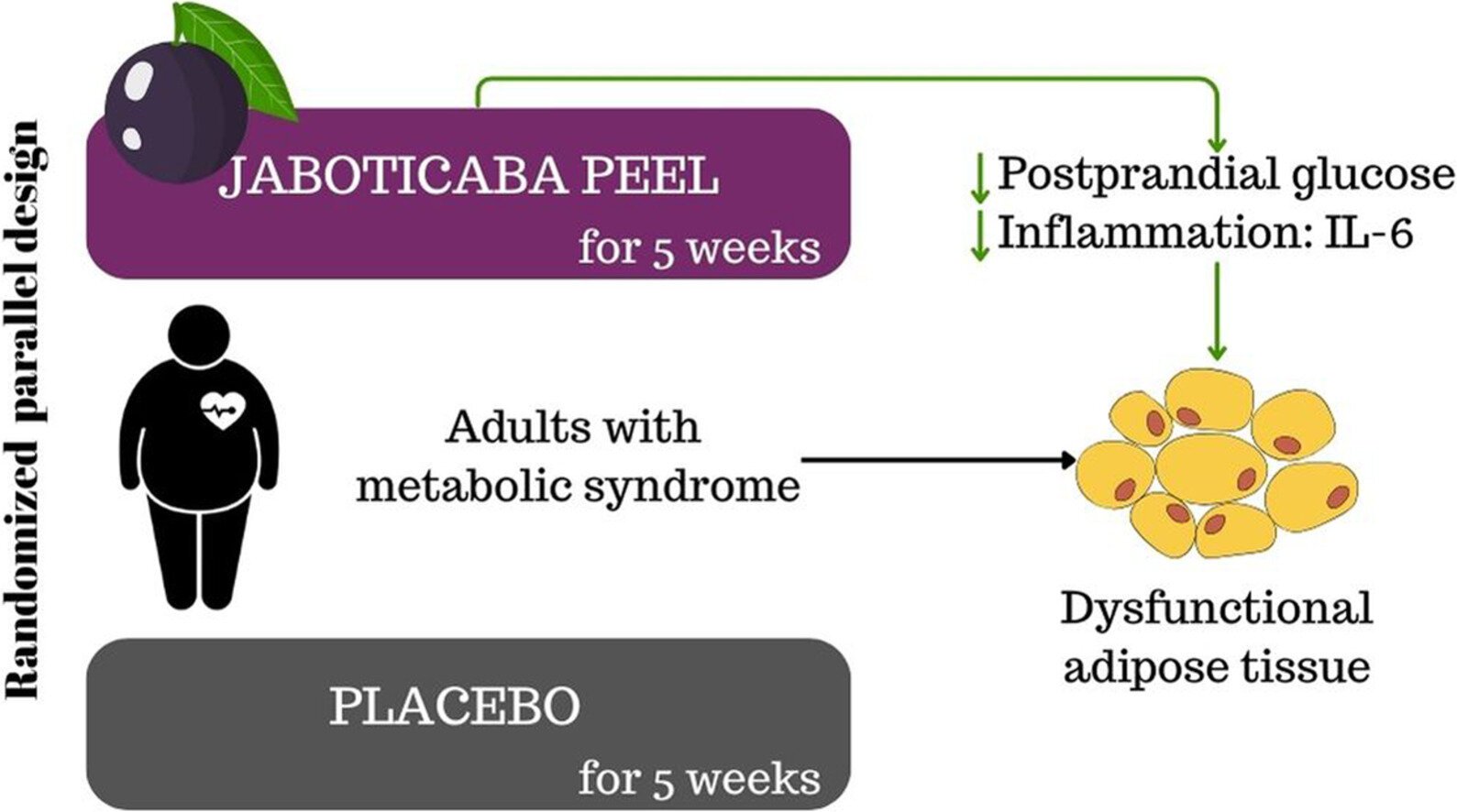 Study finds jaboticaba peel reduces inflammation and controls blood sugar in people with metabolic syndrome