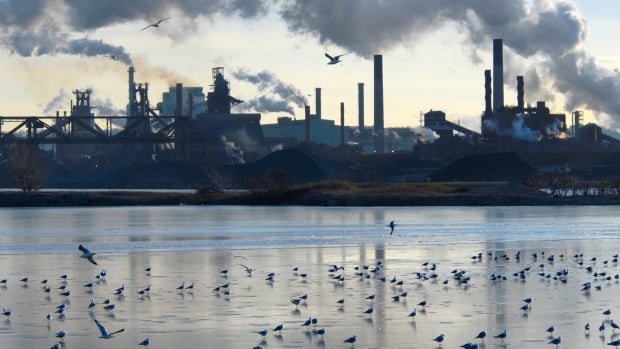 Seagulls on a lake with industry in background