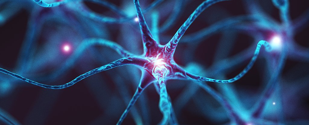 This Protein Could Help Us Unravel The Mystery of Alzheimer’s : ScienceAlert