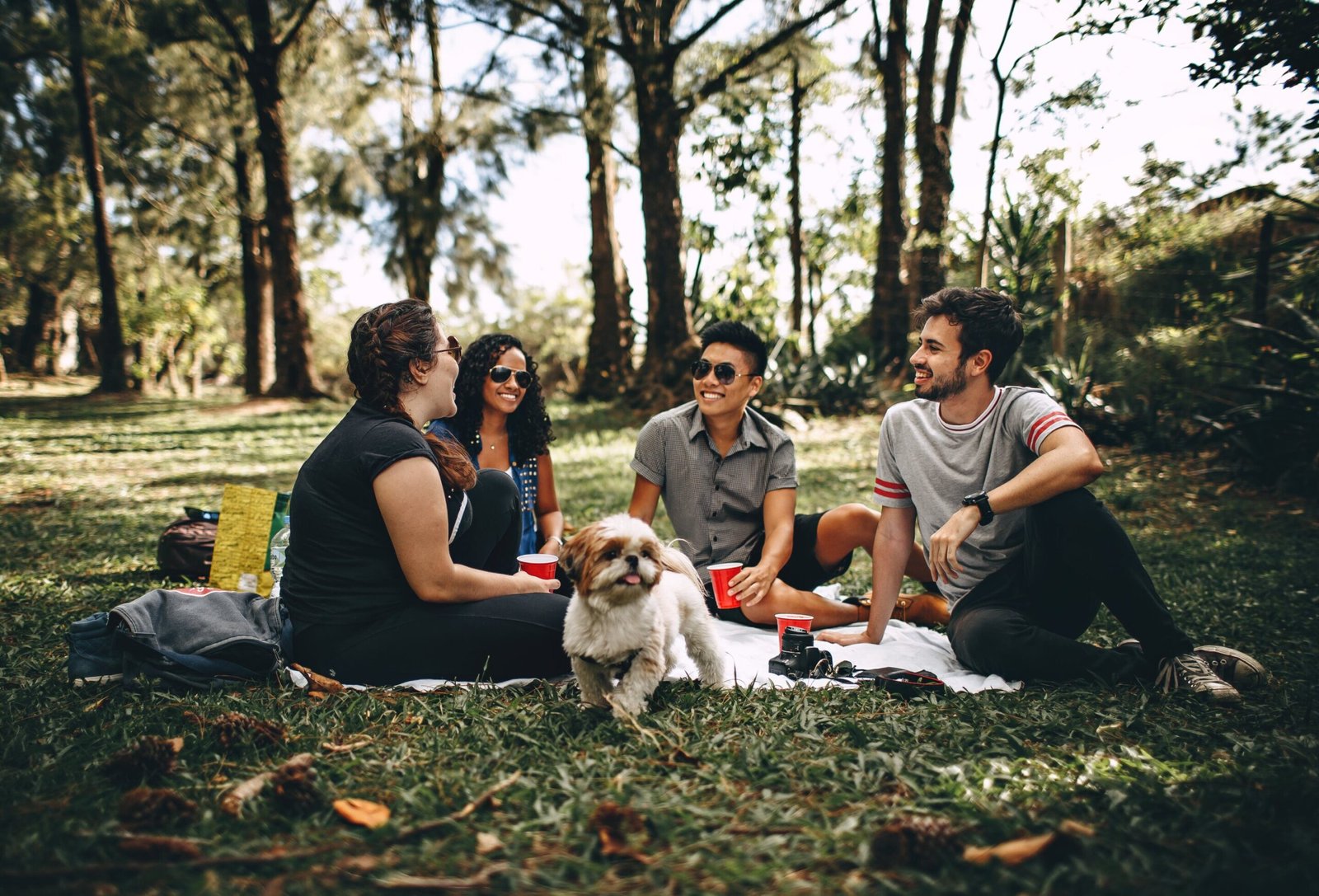 Tips for safer picnics