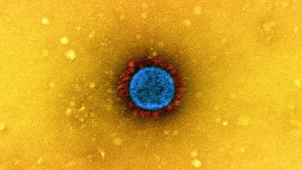 4 years later, COVID remains a year-round threat. Here’s why this virus isn’t seasonal quite yet