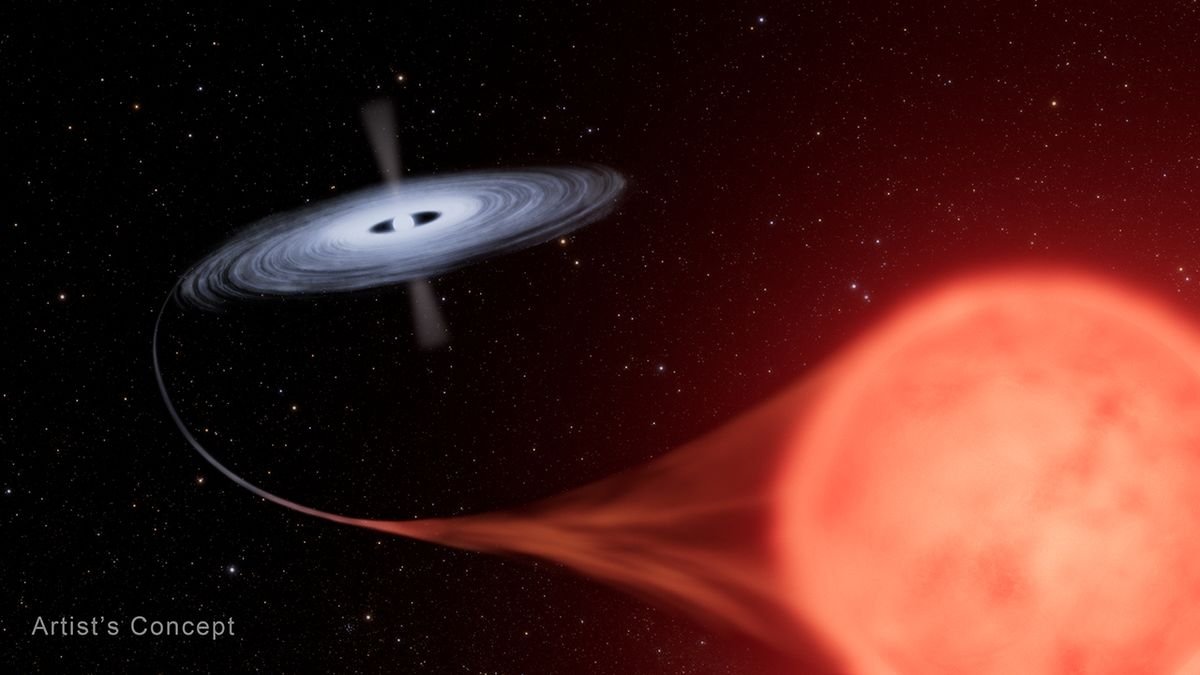 a galactic disc of gas sucks the light off a closer red star