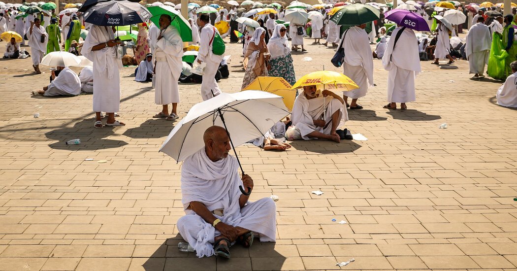 After Hajj Deaths Egypt Suspends Companies That Took Pilgrims to Mecca