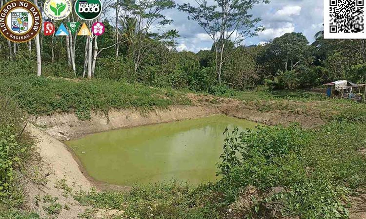 CAgrO expands rainwater catchment for upland farmers
