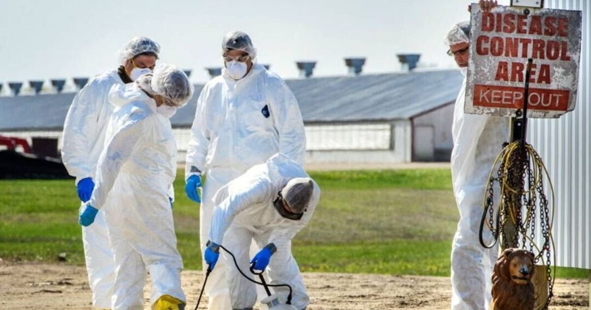 Cause of next pandemic with 50 death rate among infected predicted | World | News