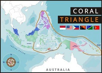 Celebrating Coral Triangle Day 2024 Conservation Efforts and Challenges